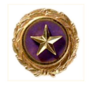 goldstar-pin