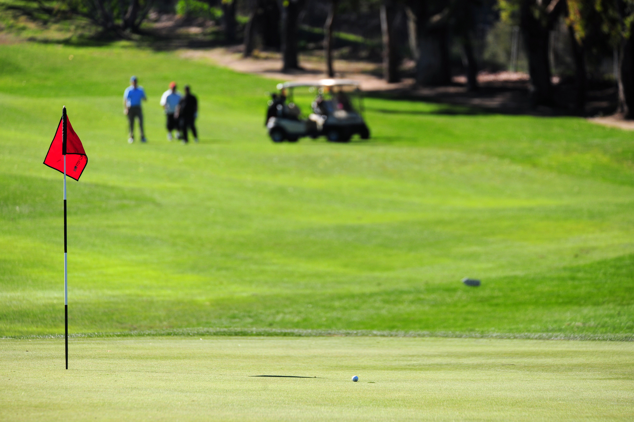 golf green with flag and hole in foreground and golfers in the background